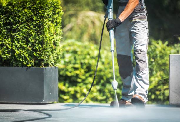 Best Driveway Pressure Washing  in Wallace, FL